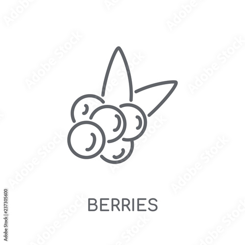 Berries linear icon. Modern outline Berries logo concept on white background from Fruits and vegetables collection