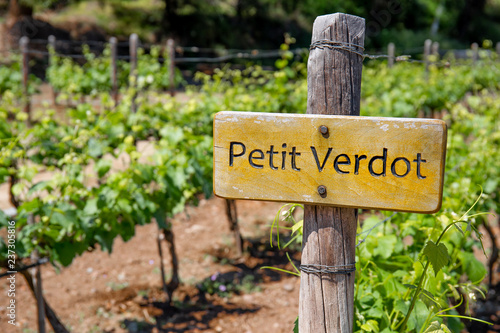 PETIT VERDOT Wine sign on vineyard. Vineyard landcape