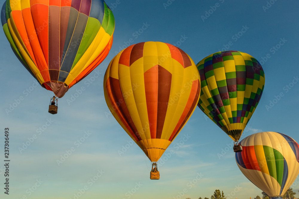 Fototapeta premium Airborne