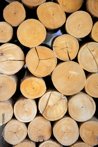 Pile of wood logs. natural wood background