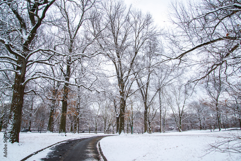 road in winter