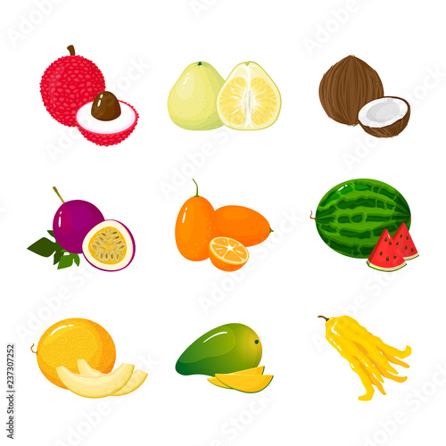 Fototapeta Naklejka Na Ścianę i Meble -  Tropical exotic fruits set. Vector illustration cartoon flat icon collection isolated on white.