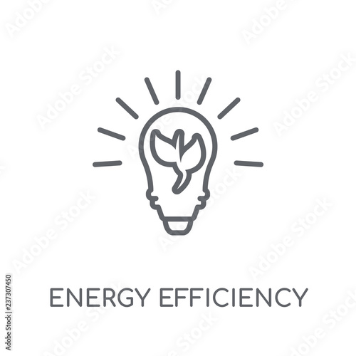 energy efficiency linear icon. Modern outline energy efficiency logo concept on white background from General collection