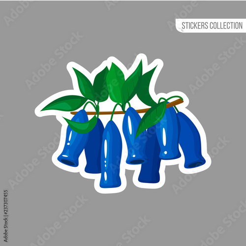 Cartoon fresh honeysuckle isolated sticker photo