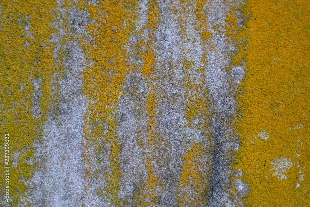 background wall old stucco abstract Colorful patterns caused by nature and age and moist ground background wall old stucco abstract Colorful patterns caused by nature and age and moist ground