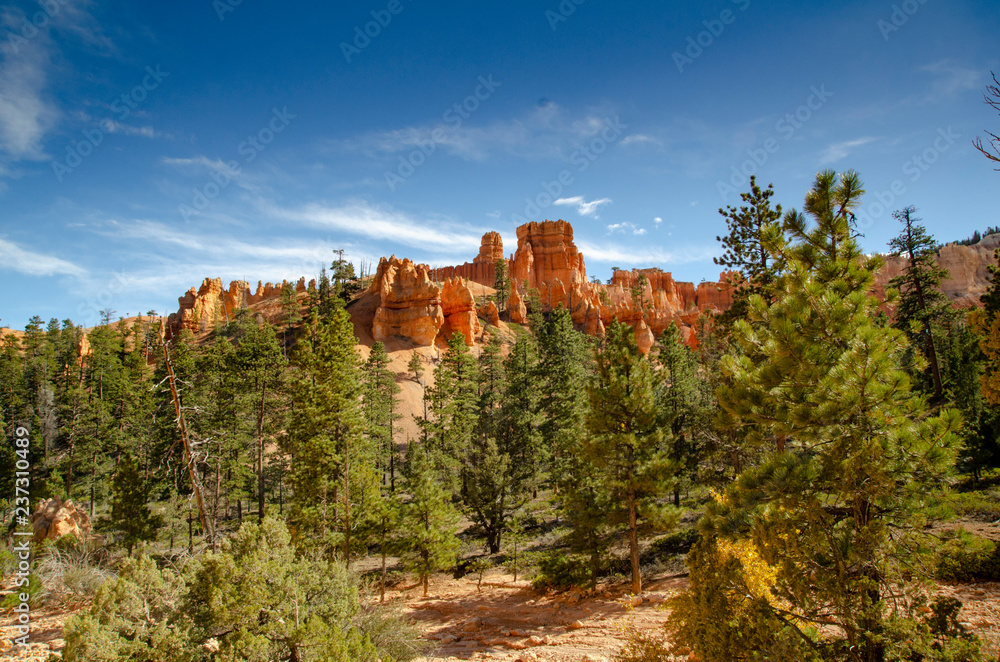 Naklejka premium Bryce Canyon