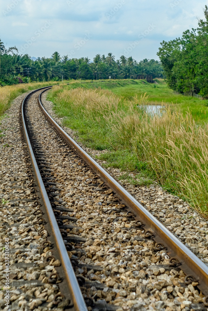 The railroad lines are round, filled with colorful trees looking over the railways as well as river bridges.