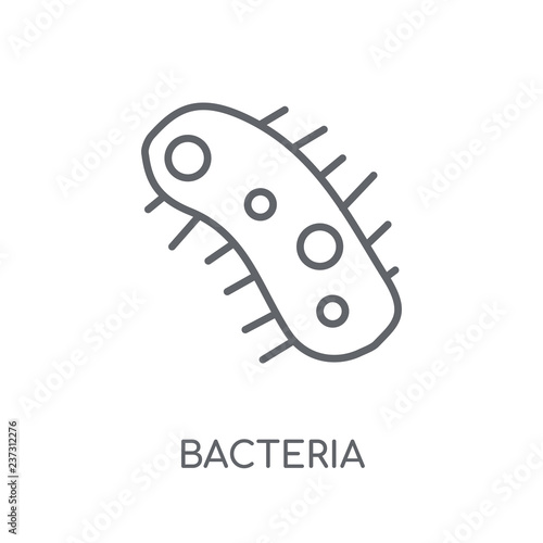 Bacteria linear icon. Modern outline Bacteria logo concept on white background from Hygiene collection