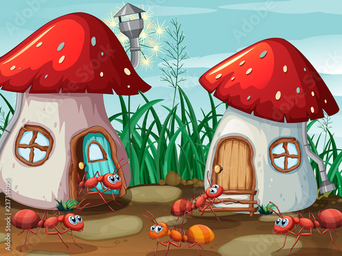 Ants at the mushroom house