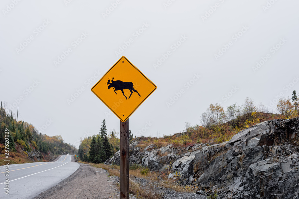 moose crossing sign on side of road