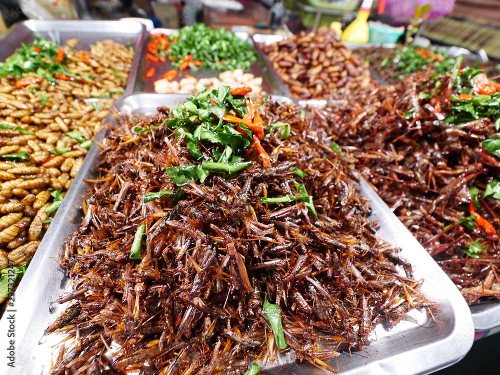 Fried insect as food,strange food in thai some people eat it as snack