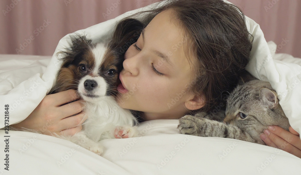 Happy teen girl communicates with dog Papillon and Thai cat in bed Happy teen girl communicates with dog Papillon and Thai cat in bed