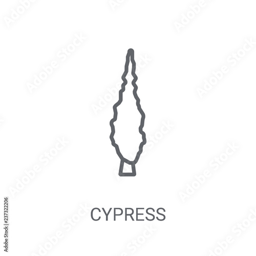 Cypress icon. Trendy Cypress logo concept on white background from Nature collection