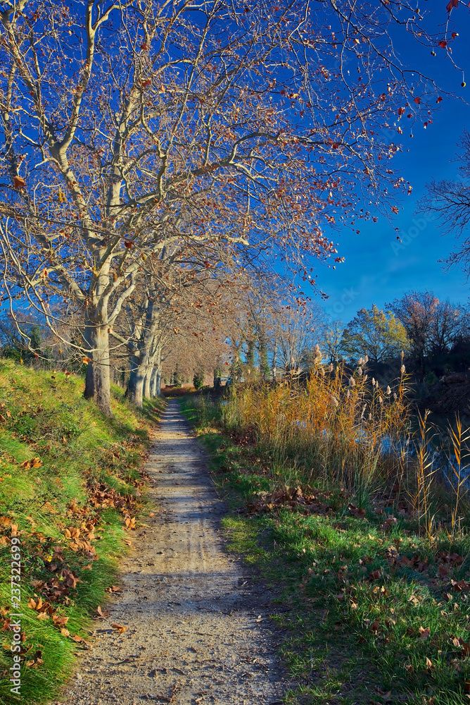 Fototapeta premium Canal du Midi in France in winter