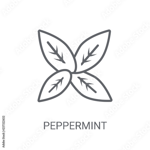 Peppermint icon. Trendy Peppermint logo concept on white background from Nature collection