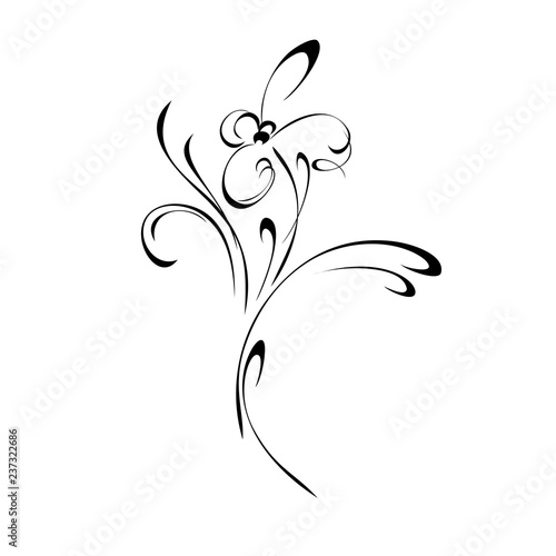 decorative abstract flower on a stem with curls in black lines on a white background