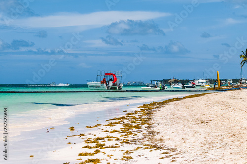 Bavaro Beaches in Punta Cana  Dominican Republic