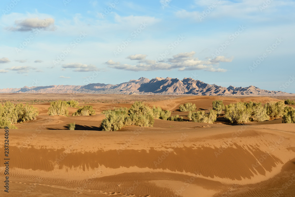 Orange sand dunes on the Dasht-e Kavir desert near Mesr oasis and Khur city, Iran