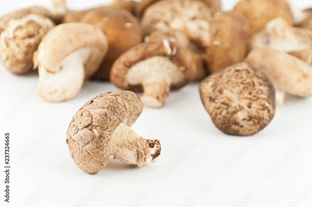 Shiitake Mushrooms Shiitake Mushrooms