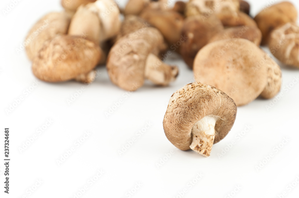 Shiitake Mushrooms