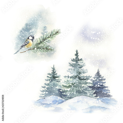 Watercolor winter bird illustration. Perfect for print, christmas and new year greeting cards