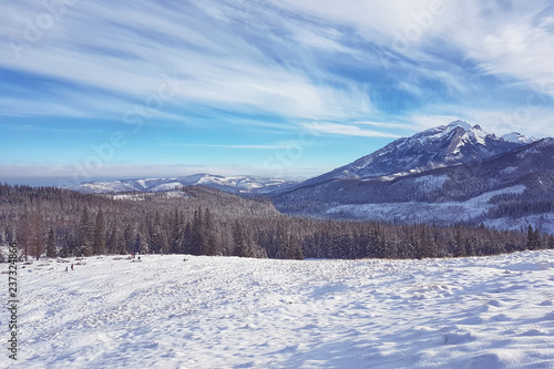 Beautiful panorama of snow-covered valley with mountains in the background