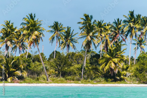 Fototapeta Naklejka Na Ścianę i Meble -  Saona Island near Punta Cana, Dominican Republic