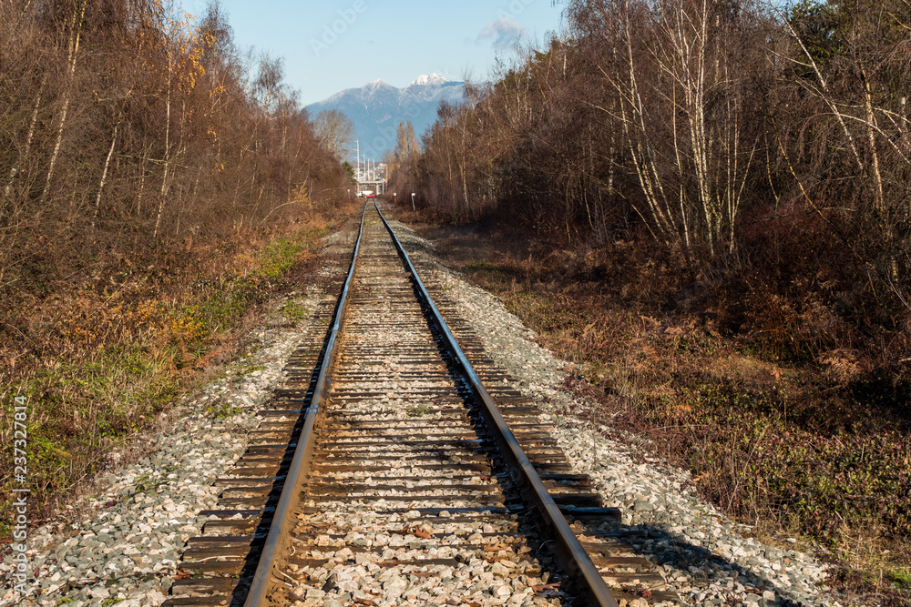 railway track lead into the far side with trees on both sides on a cold winter morning