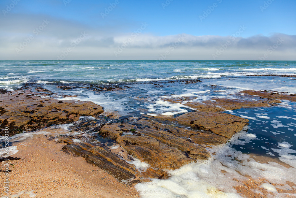 Cape fur Seal colony at Cape Cross, Namibia, breading season. Cape fur Seal colony at Cape Cross, Namibia, breading season.