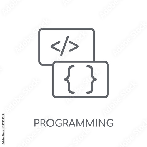 Programming language linear icon. Modern outline Programming language logo concept on white background from Programming collection