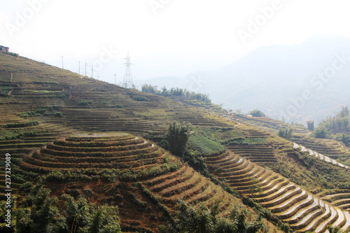 Sapa valley landscape  Vietnam 