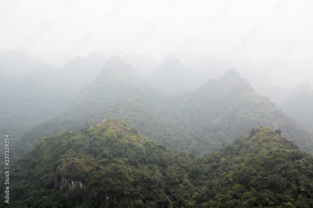 Naklejka premium Cat Ba National Park, Vietnam
