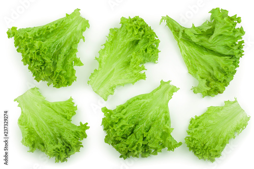 Lettuce leaf isolated on white background close up. Set or collection