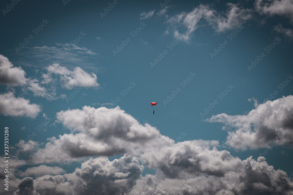 kite in the sky
