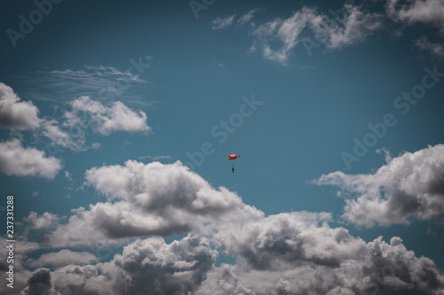 kite in the sky