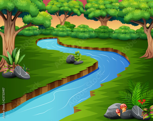 Nature scene of river in the forest