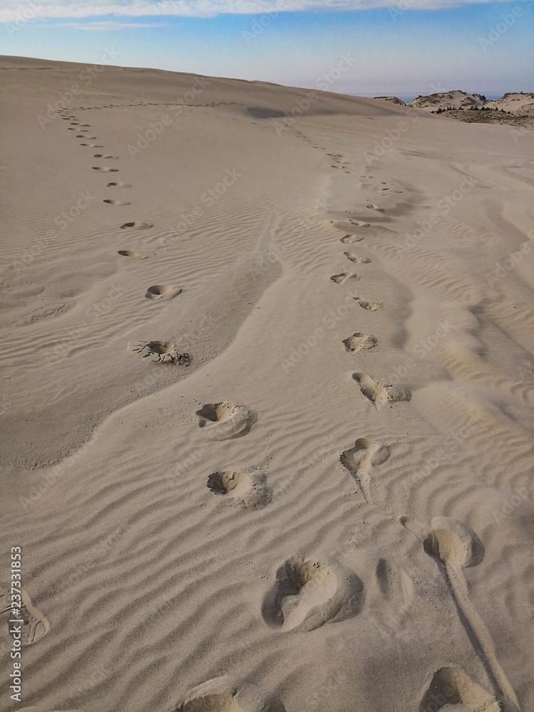 footprints in the sand