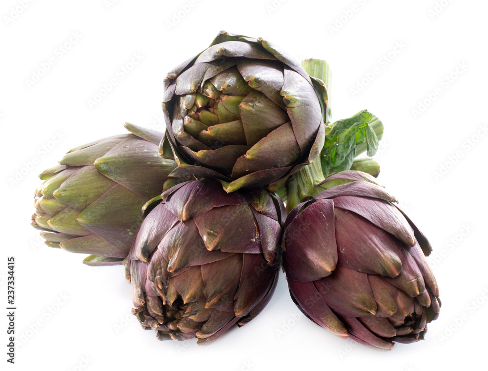 Obraz premium group of purple artichoke