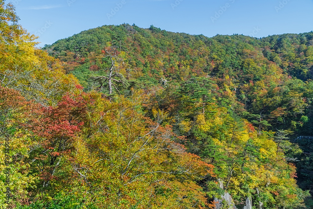 Naruko Gorge in autumn, Japan