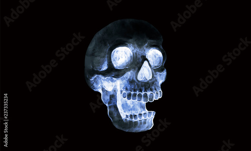 Illustration of a skull icon vector for Halloween