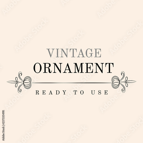 Vintage flourish ornament illustration