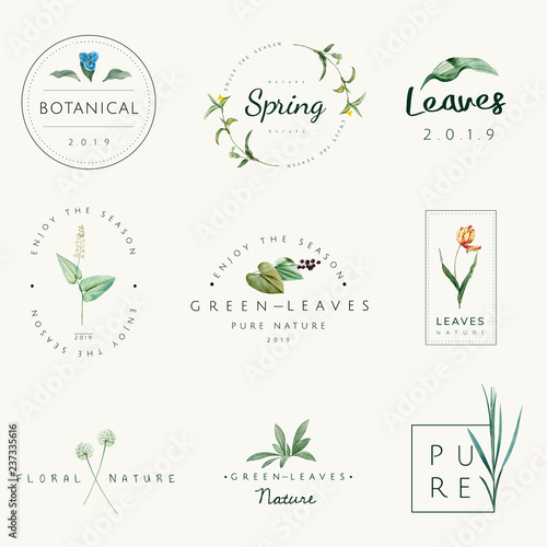 Set of nature and plant logo vectors