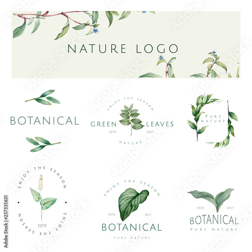 Set of nature and plant logo vectors