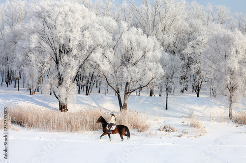 Pretty woman riding her horse through snow at winter morning