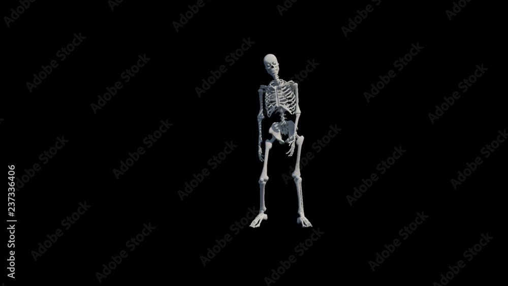 A 3d slow motion animation of muscle skeleton model kicking a set piece soccer ball / football (subject on alpha channel background without any ball for later composite) A 3d slow motion animation of muscle skeleton model kicking a set piece soccer ball / football (subject on alpha channel background without any ball for later composite)