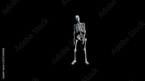 A 3d slow motion animation of muscle skeleton model kicking a set piece soccer ball / football (subject on alpha channel background without any ball for later composite)