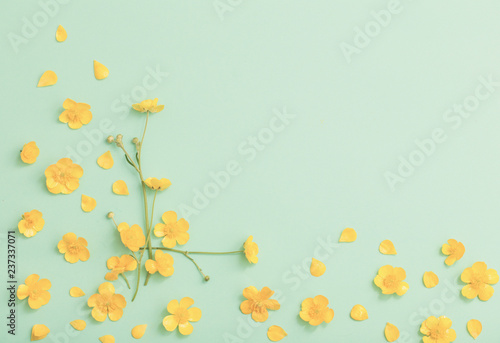 yellow buttercups on green paper background © Maya Kruchancova