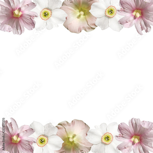 Fototapeta Naklejka Na Ścianę i Meble -  Beautiful floral background of mallows and the daffodils 