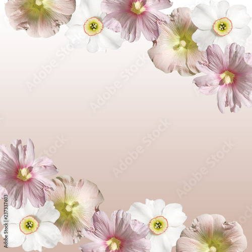 Fototapeta Naklejka Na Ścianę i Meble -  Beautiful floral background of mallows and the daffodils 