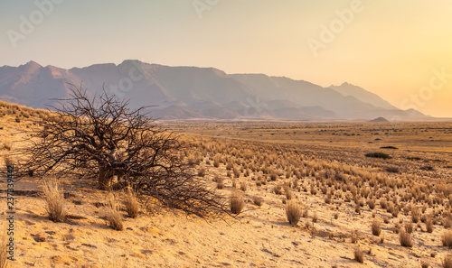 Damaraland, Namibia, a vast semi desert arid region in Namibia. photo